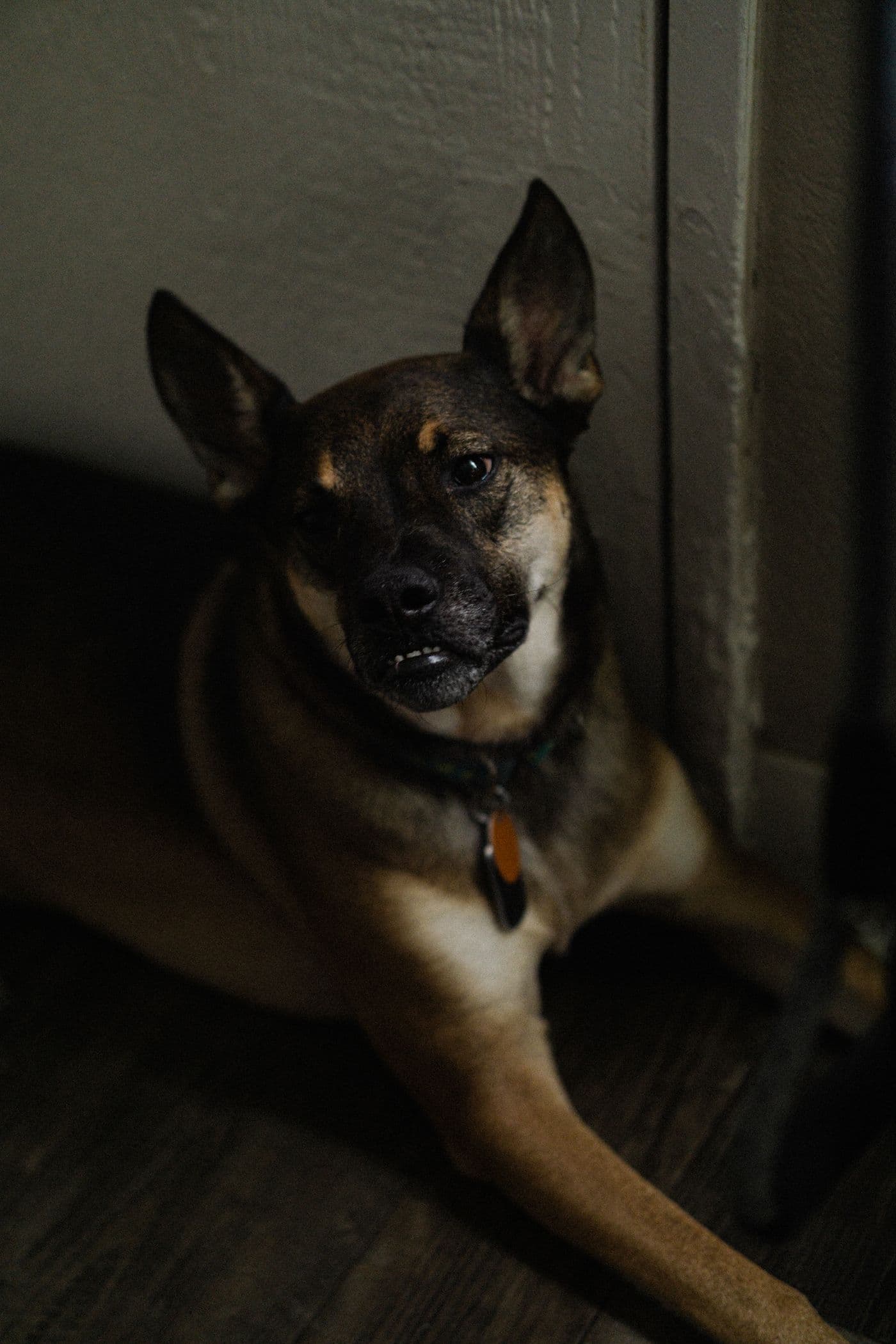 The fearful one